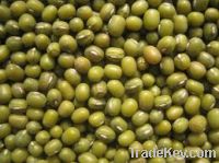 Mung Beans