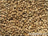 Robusta Coffee Beans