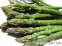 Sell Fresh asparagus