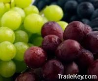 Sell Fresh grape