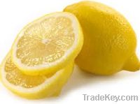 Sell Fresh Lemon