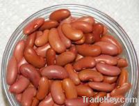 Canned Red Kidney Bean