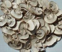 Dehydrated mushroom slices