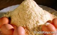 Sell Chicken Egg Powder