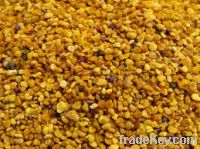 Sell Bee Pollen