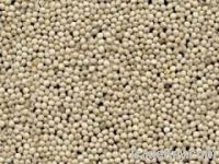 White Perilla Seeds