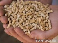 Pine Wood Pellets