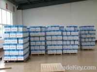 Germany.....factory/manufacturer office paper A4 paper/ copy paper