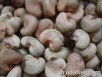 RAW CASHEW NUTS UNSHELL  FOR SALE