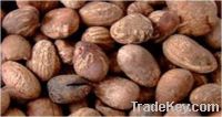 SHEA NUT FOR SALE