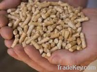 WE SELL Wood Pellets and Wood Briquettes