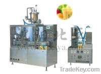 Flavoured Juice Gable-Top Hot Filling Equipment (BW-1000-2)