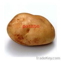 Chinese Potato