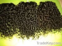 Sell Steam Curly Human Hair New Arrival 40 Cm (16 Inches)