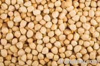 Sell Kabuli chickpeas in different sizes