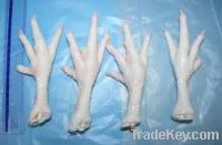 Export Chicken Paw | Chicken Feet Suppliers | Poultry Feet Exporters | Chicken Feets Traders | Processed Chicken Paw Buyers | Frozen Poultry Paw Wholesalers | Low Price Freeze Chicken Paw | Best Buy Chicken Paw | Buy Chicken Paw | Import Chicken Paw | Chi