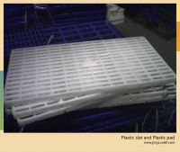 Sell New type plastic slat and support (10060)