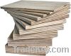Sell plywood Mark MR and WBP