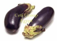 Sell egg plant