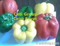 Sell capsicums