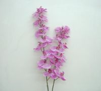 Sell phalaenopsis spray