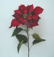 Sell single poinsettia