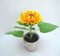 SUNFLOWER WITH POT