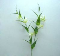 gloriosa lily spray