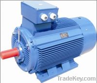 Wide Frequency GS three phase asynchronous motor