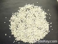 Long grain rice-IRRI-6