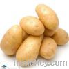 Wanna sell potatoes