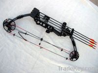 20-70lbs compound bow