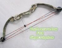 Youth compound bow and arrow set