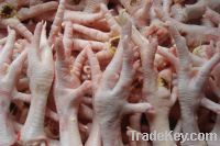 Export Chicken Paw | Chicken Feet Suppliers | Poultry Feet Exporters | Chicken Feets Traders | Processed Chicken Paw Buyers | Frozen Poultry Paw Wholesalers | Low Price Freeze Chicken Paw | Best Buy Chicken Paw | Buy Chicken Paw | Import Chicken Paw | Chi