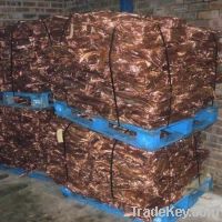 Copper Wire Scraps Suppliers | Copper Scrap Exporters | Copper Scrap Manufacturers | Cheap Copper Scrap | Wholesale Copper Scraps | Discounted Copper Scrap | Bulk Copper Scraps | Copper Scrap Buyer | Import Copper Scrap | Copper Scrap Importers | Copper S