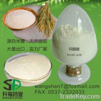 supply 98% ferulic acid