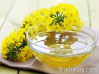 Best selling canola oil