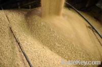 sell of Good quality Soybean Meal for animal feed