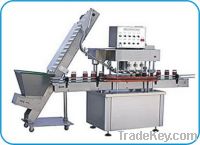 GHAC-6 Auto linear capping machine