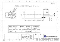 China 12V Micro motor TE16KM-12-384