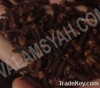 Cloves