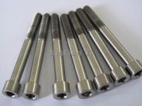 titanium bolt