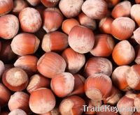 High Quality with Good Price Wholesale Chinese Fresh Chestnuts