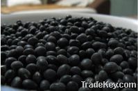 China new crop small black beans