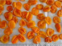 dried apricot