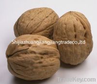 Chinese Walnut Shell And Kernel