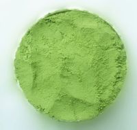 Top Quality Barley Grass Juice Powder 4:1 50:1 for Food Pharmaceutical Purpose