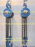 Low price high efficiency round chain hosit with G80 chains