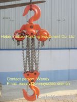 Stable lifting high speed endless chain electric hoist