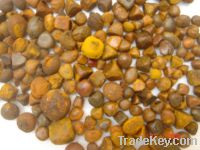 well-dried Gallstones